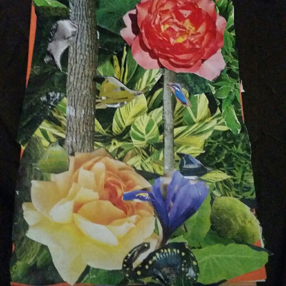 Meet your Posher, Anastasia